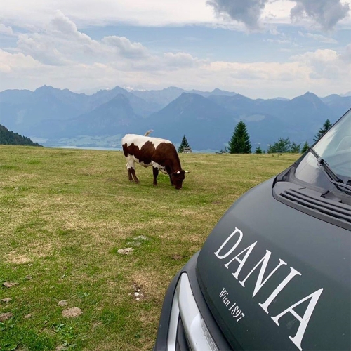 ArchiCover Produkte | Fassade & Natur