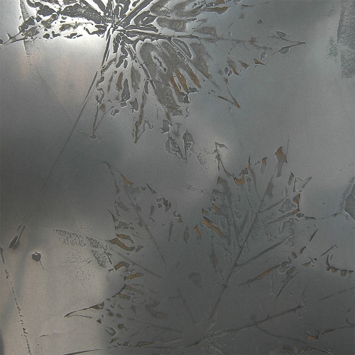 ArchiCover | 3d wall & luxury covering